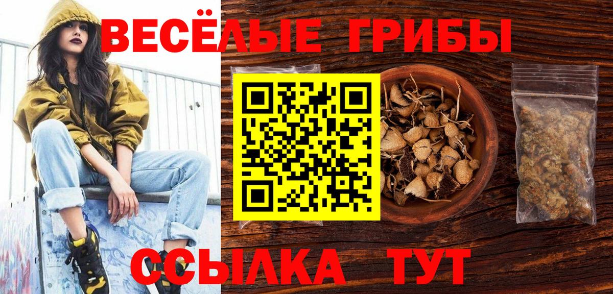 Галлюциногенные грибы ЛСД  Вход с VPN  цена наркотик  Городец 