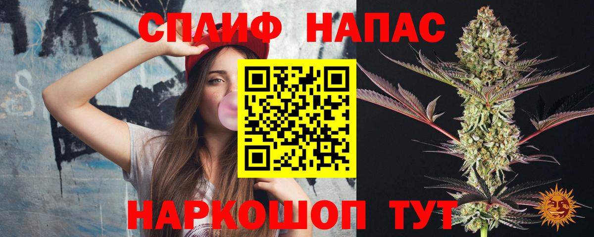 Бошки Шишки White Widow  Вход с VPN  Городец  Бошки Шишки VHQ 